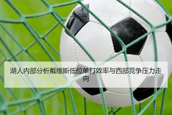 湖人内部分析戴维斯低位单打效率与西部竞争压力走向